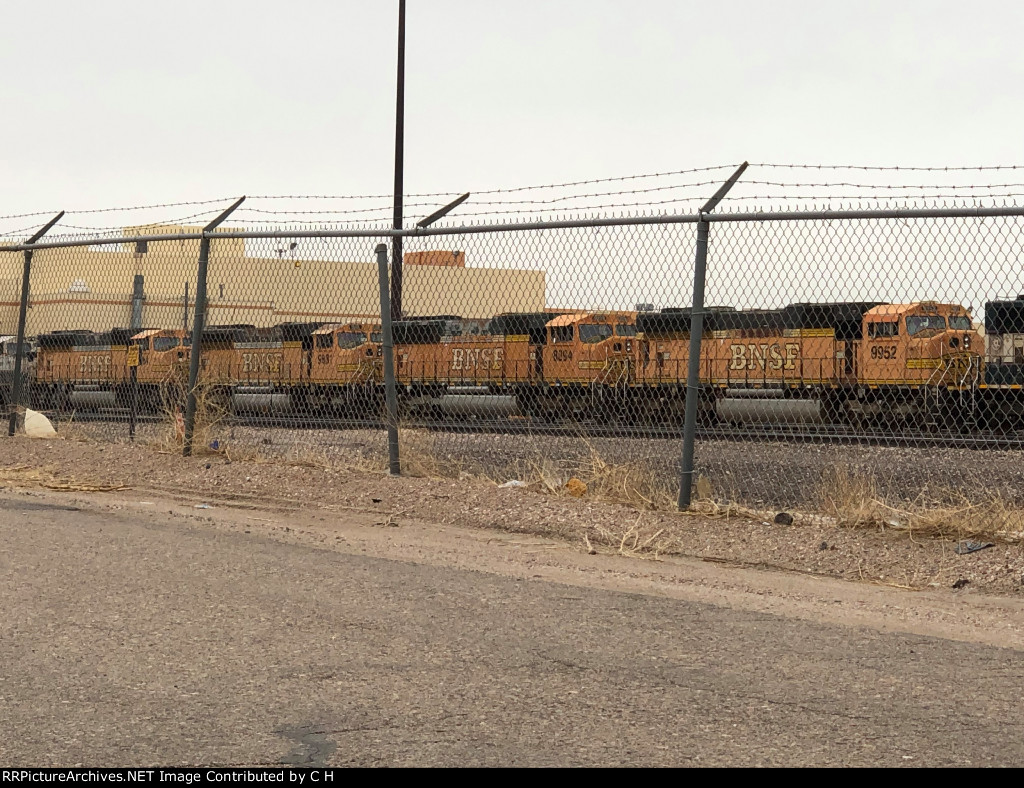 BNSF 9952/8894/9981